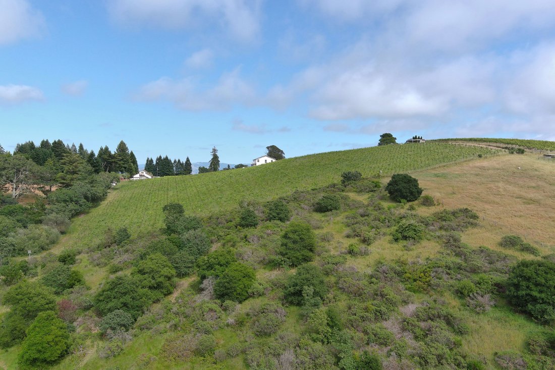 House in Sebastopol, California, United States 1 - 19103223