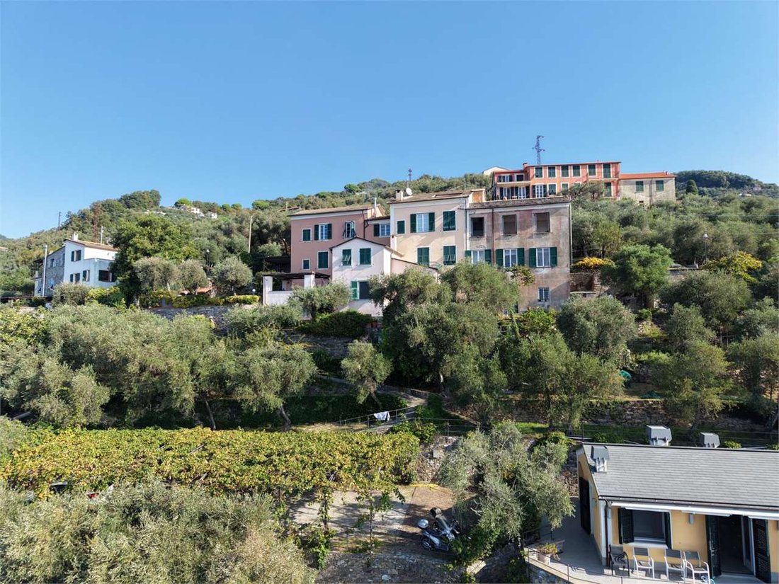 Estate in Zoagli, Liguria, Italy 5 - 19104543