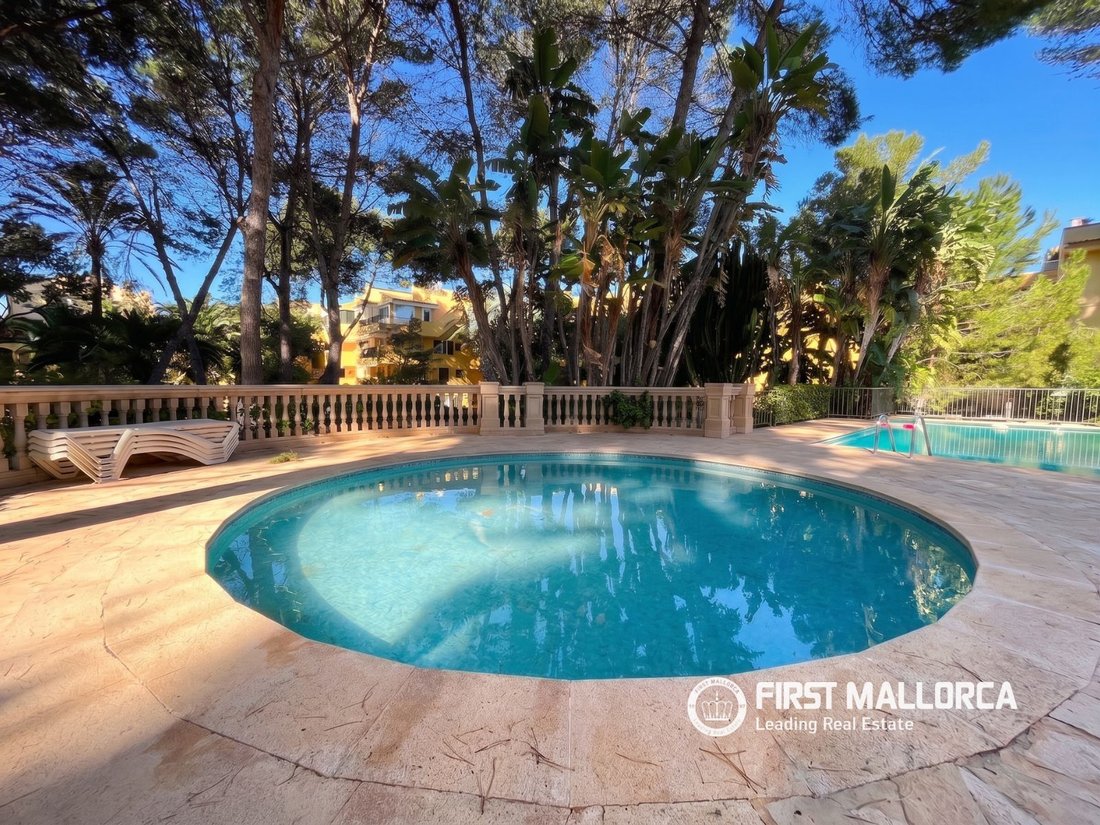 Wohnung in Santa Ponsa, Balearische Inseln, Spanien 4 - 19105298
