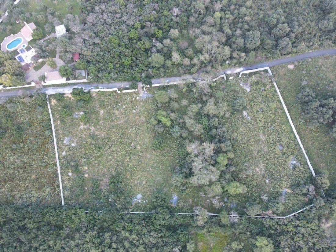 Terreno a Santiago, Nuevo León, Messico 1 - 19103079