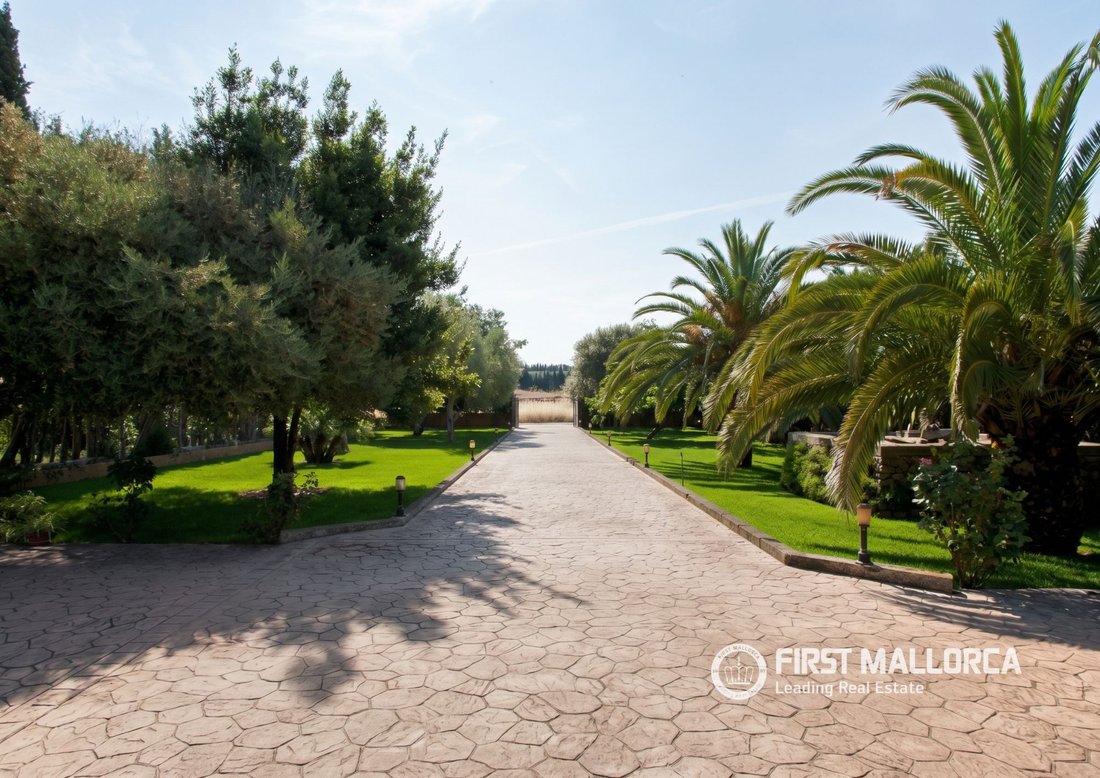Finca in Muro, Balearische Inseln, Spanien 4 - 19105527