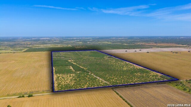 Azienda agricola a Beeville, Texas, Stati Uniti 3 - 19104995