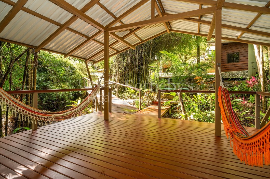 Estate in Perez Zeledon, Pérez Zeledón, Costa Rica 5 - 19103116