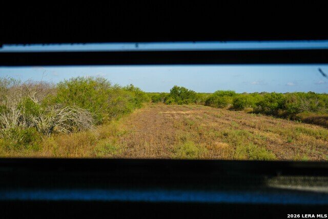 Azienda agricola a Beeville, Texas, Stati Uniti 5 - 19104995