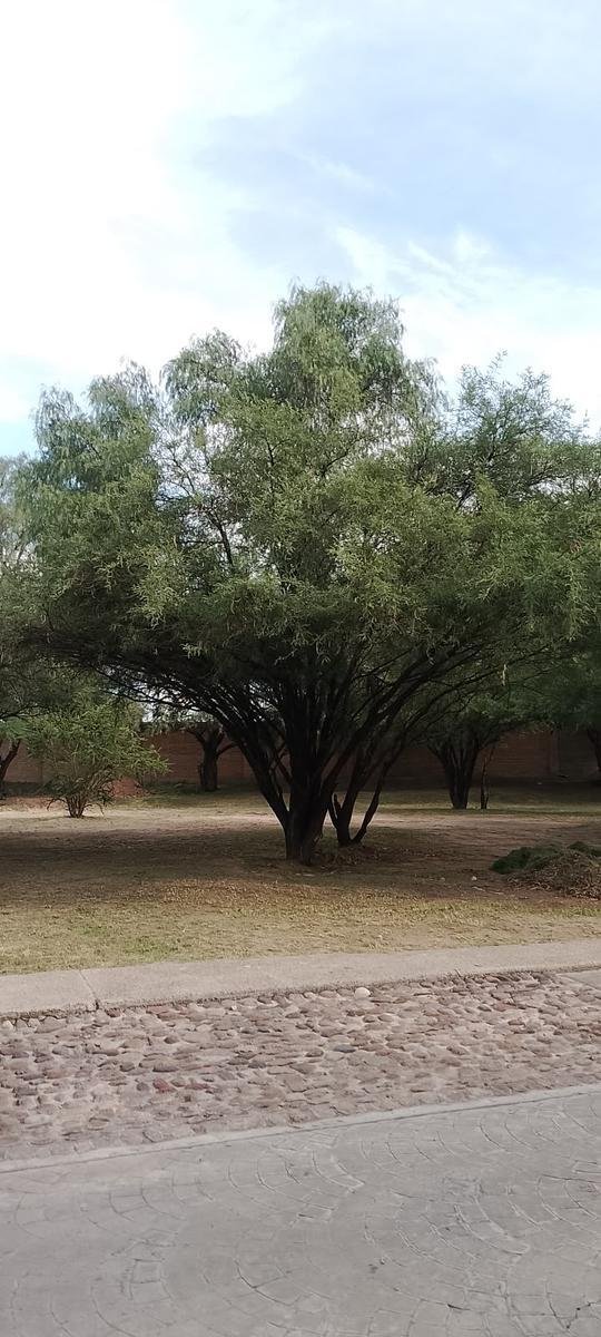 Terreno en Aguascalientes, Aguascalientes, México 3 - 19105564