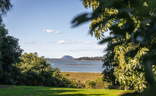 Haus in Aongatete, Bay of Plenty, Neuseeland 1