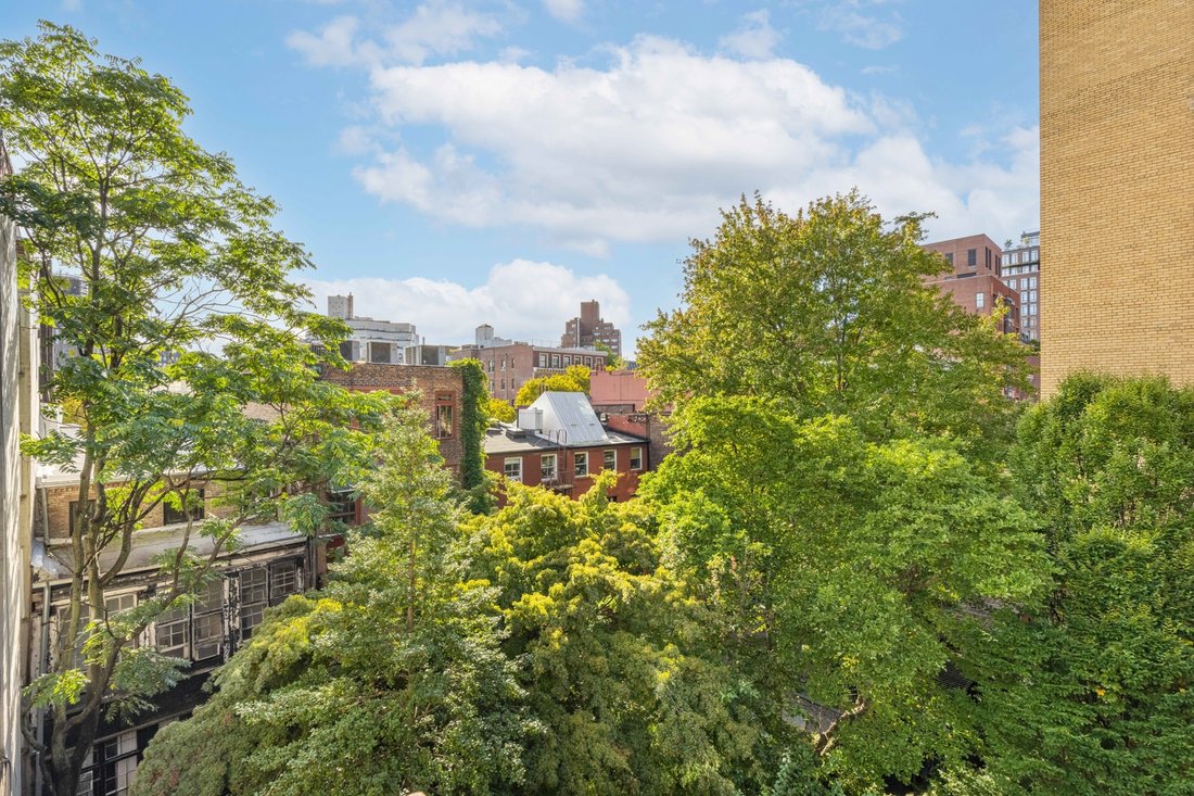 Co Op in New York, New York, United States 4 - 19105259
