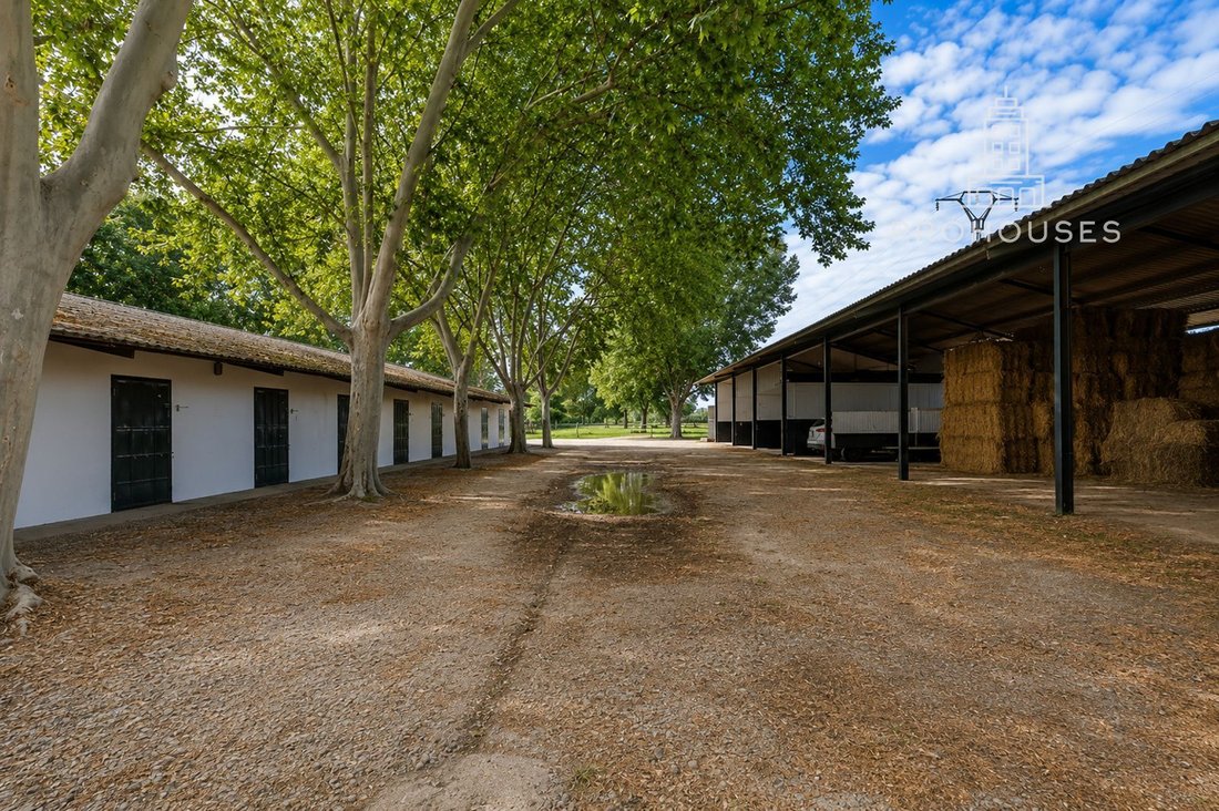 Anwesen in Aranjuez, Autonome Gemeinschaft Madrid, Spanien 5 - 19104577