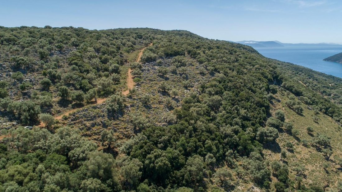 Terreno a Community of Spartochori, Peloponnese, Western Greece and the Ionian, Grecia 5 - 19108379