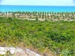 Terrain à Entre Rios, Bahia, Brésil 5 - 19106974