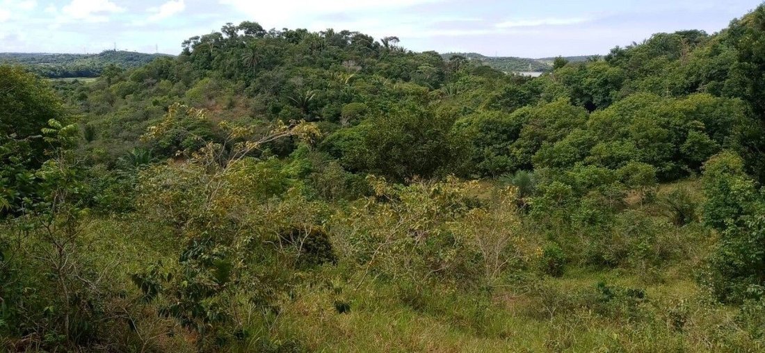 Terreno en Simoes Filho, Bahía, Brasil 1 - 19106734