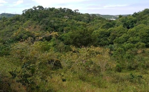 Terreno a Simoes Filho, Bahia, Brasile 1