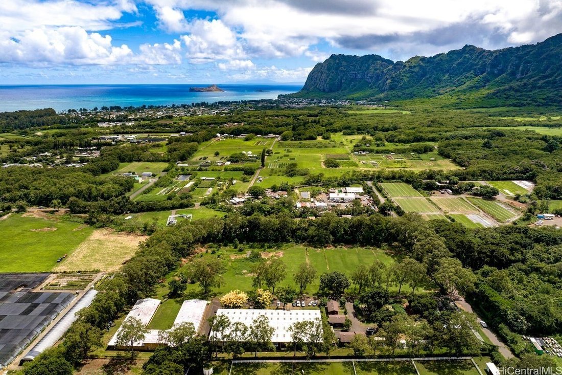 Maison à Kailua, Hawaï, États-Unis 3 - 19108992
