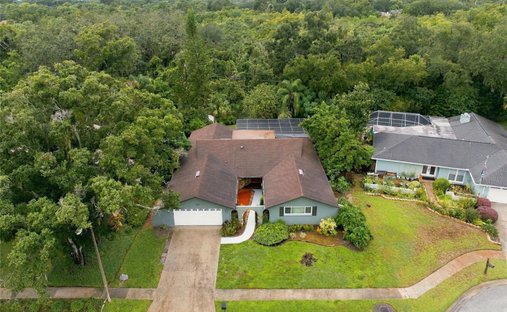Haus in Dunedin, Florida, Vereinigte Staaten 1