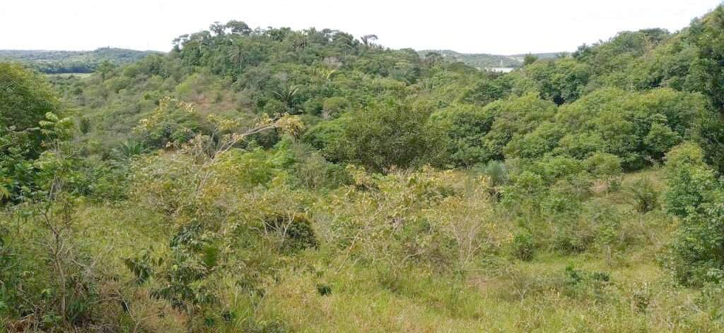 Terreno en Simoes Filho, Bahía, Brasil 3 - 19106734