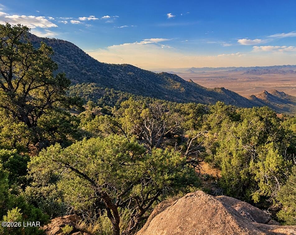 Terreno a Hackberry, Arizona, Stati Uniti 1 - 19108698