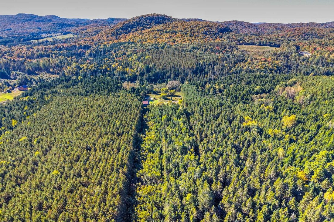 Terrain à Gray Valley, Québec, Canada 1 - 19108078
