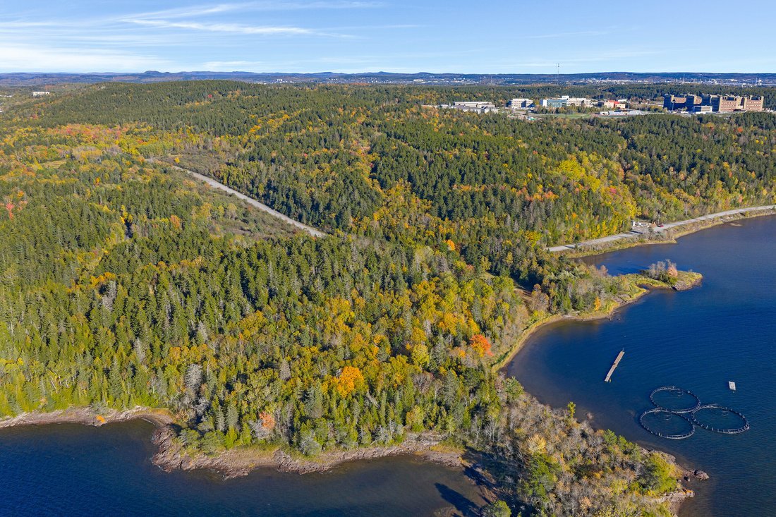 Terreno a Saint John, Nuovo Brunswick, Canada 5 - 19108086