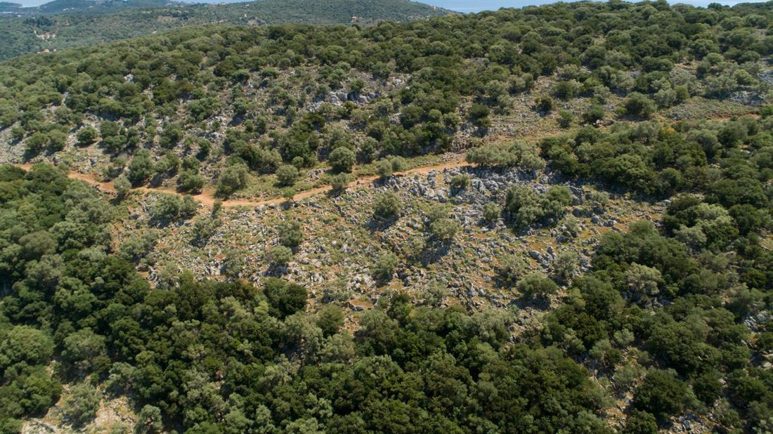 Terreno a Community of Spartochori, Peloponnese, Western Greece and the Ionian, Grecia 1 - 19108379