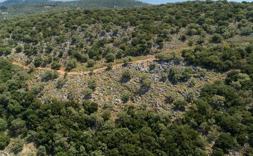 Terreno en Community of Spartochori, Peloponnese, Western Greece and the Ionian, Grecia 1