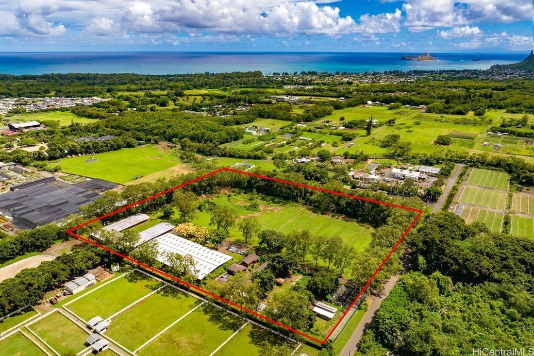 Maison à Kailua, Hawaï, États-Unis 1 - 19108992