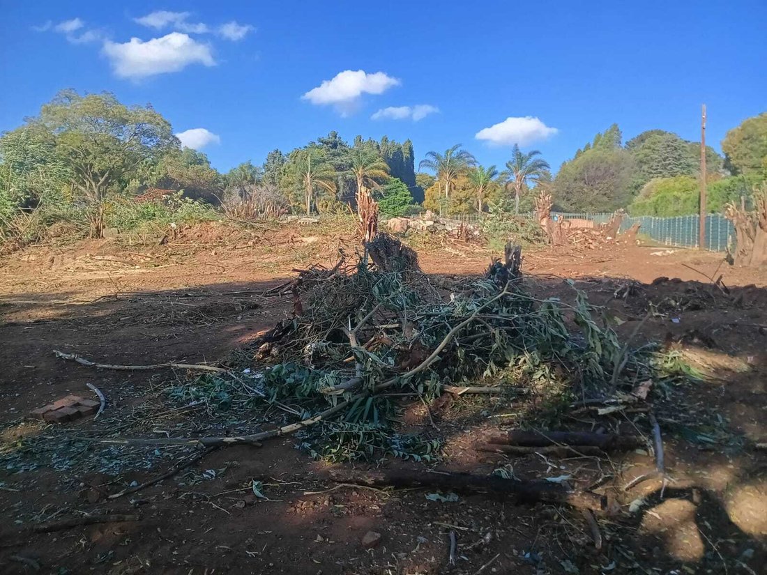 Land in Bryanston, Gauteng, Südafrika 5 - 19108869