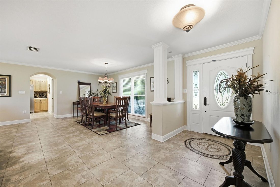 House in Land O' Lakes, Florida, United States 5 - 19108752