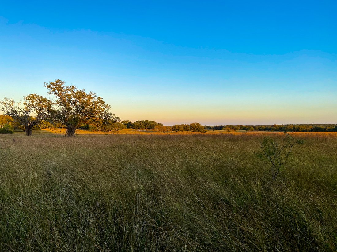 Azienda agricola a Purmela, Texas, Stati Uniti 5 - 19108960
