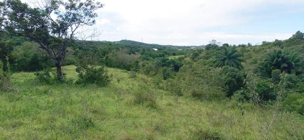 Terreno en Simoes Filho, Bahía, Brasil 4 - 19106734