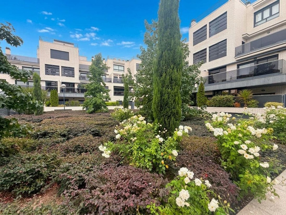 Appartement à Pozuelo de Alarcón, Communauté de Madrid, Espagne 2 - 19106840
