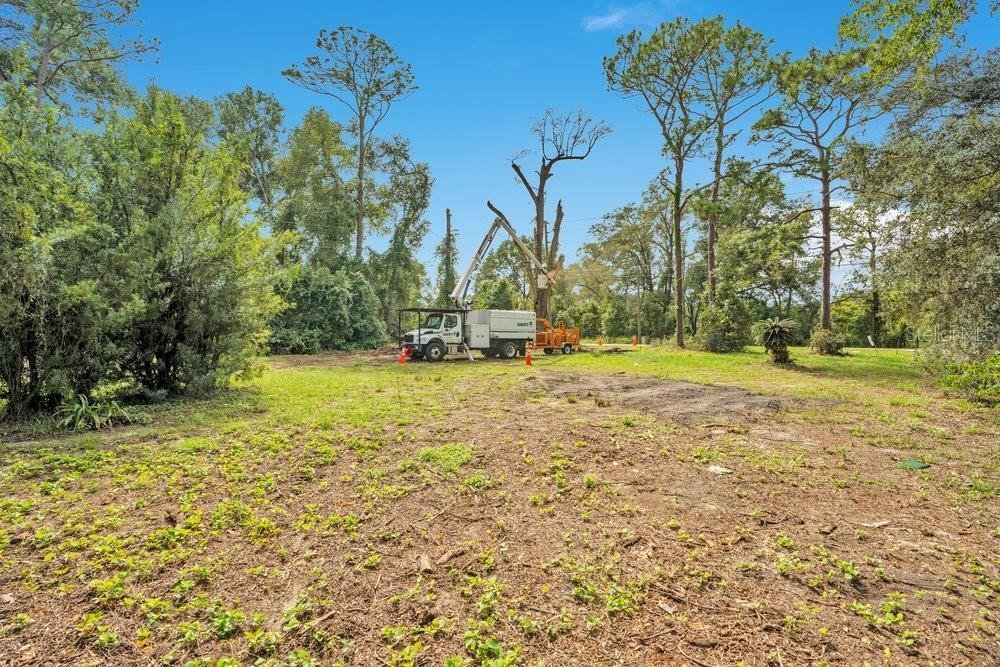 House in Apopka, Florida, United States 5 - 19108663