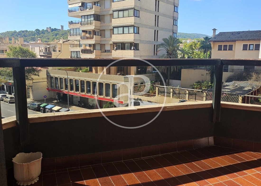 Apartment in Palma, Balearic Islands, Spain 5 - 19107645