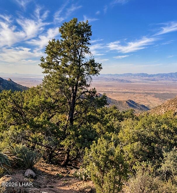 Terreno a Hackberry, Arizona, Stati Uniti 4 - 19108698