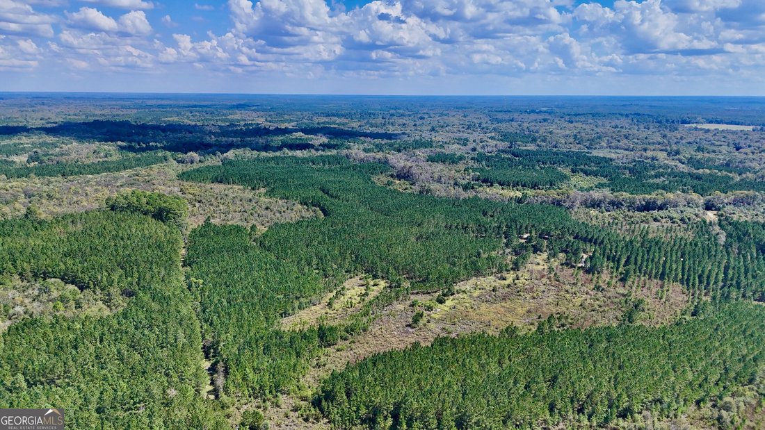 Land in Hazlehurst, Georgia, Vereinigte Staaten 3 - 19108579