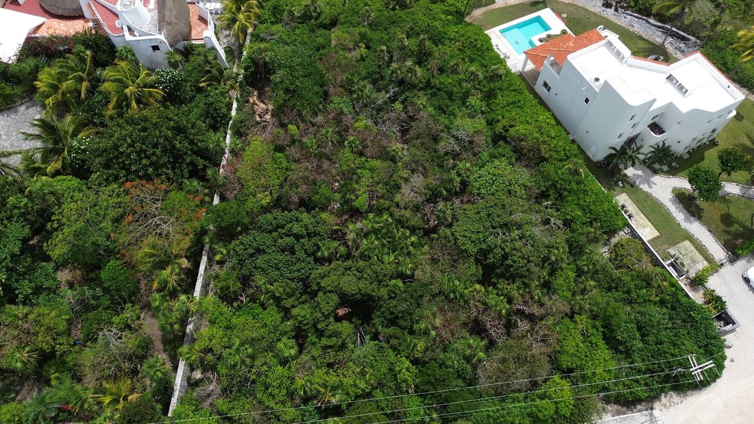 Terreno en Akumal, Quintana Roo, México 5 - 19108371