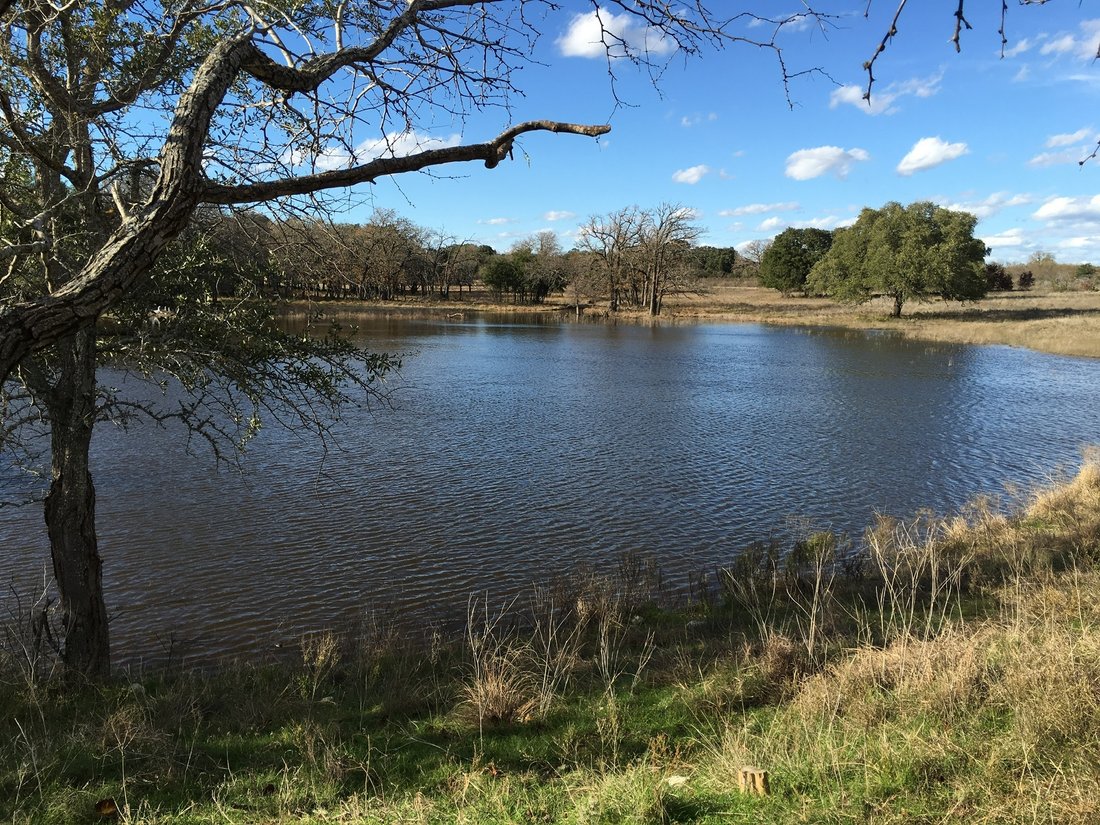 Azienda agricola a Purmela, Texas, Stati Uniti 3 - 19108960