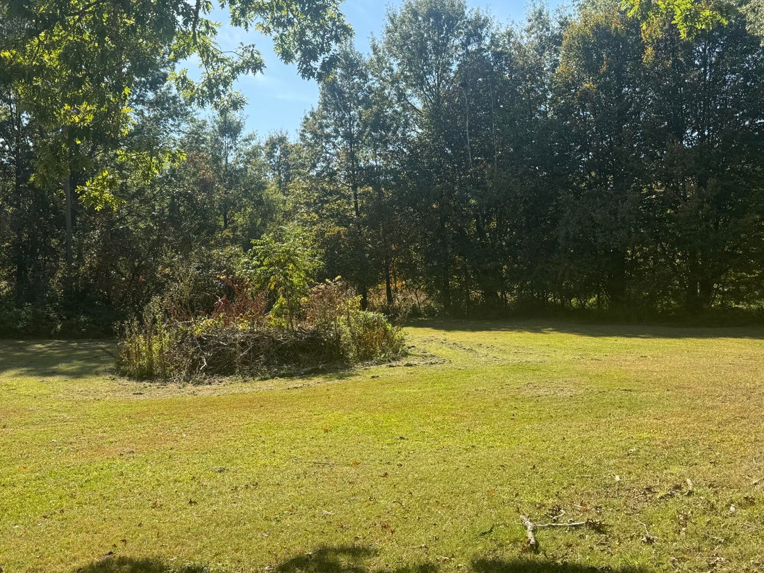Terrain à Beverly Shores, Indiana, États-Unis 5 - 19108027