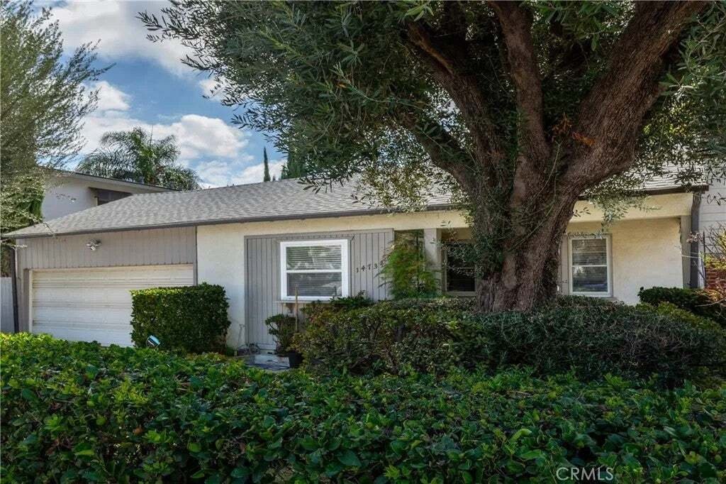 Los Angeles, California, United States 2 - 19107408