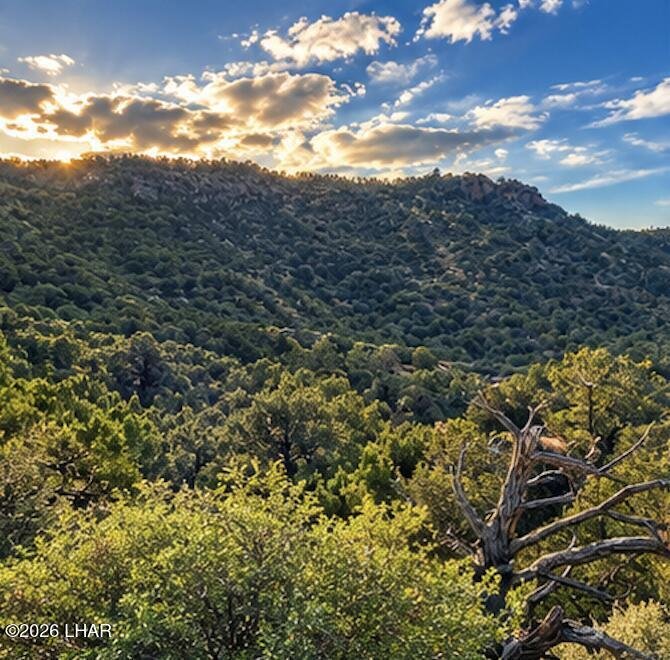 Terreno a Hackberry, Arizona, Stati Uniti 5 - 19108698