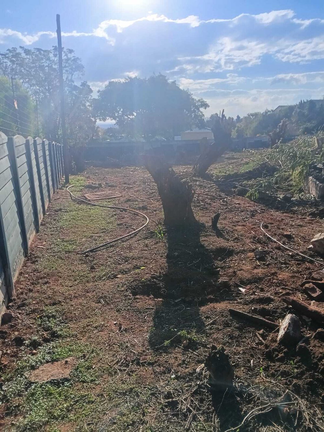 Land in Bryanston, Gauteng, Südafrika 3 - 19108869
