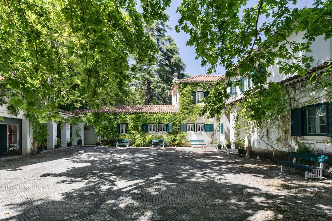 Azienda agricola a Sao Pedro, Lapas e Ribeira Branca, Distretto di Santarém, Portogallo 5 - 19107955