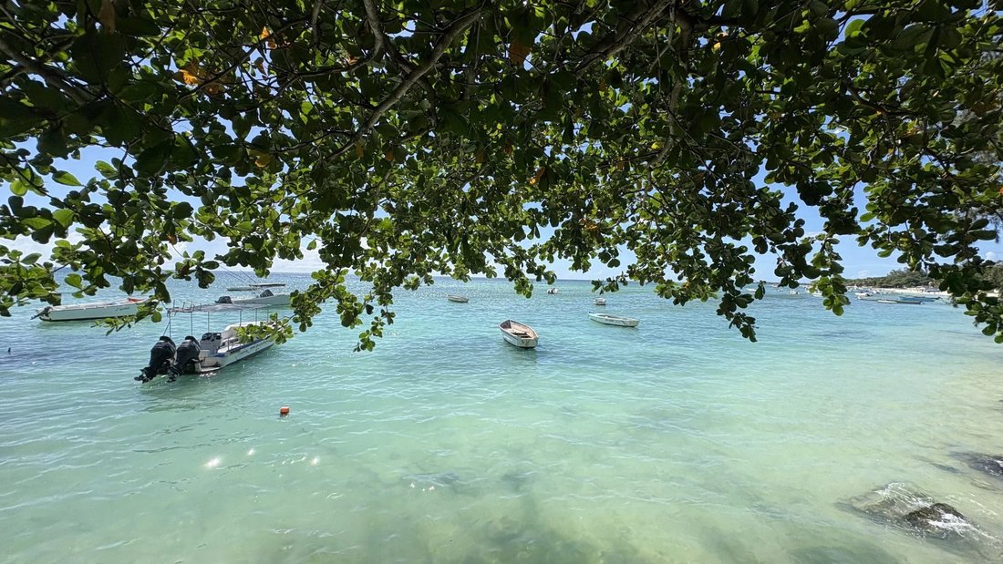 Haus in Trou aux Biches, Pamplemousses, Mauritius 2 - 19107076