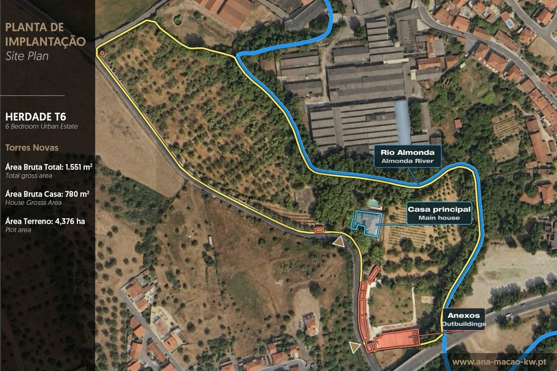 Azienda agricola a Sao Pedro, Lapas e Ribeira Branca, Distretto di Santarém, Portogallo 4 - 19107955