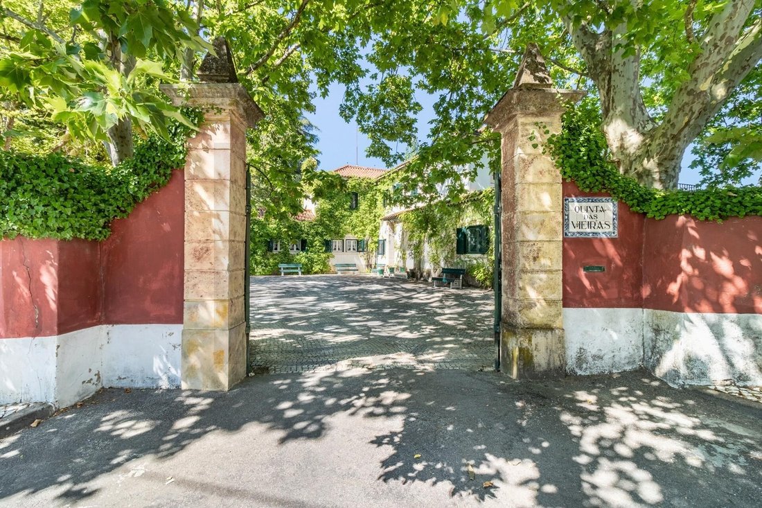 Azienda agricola a Sao Pedro, Lapas e Ribeira Branca, Distretto di Santarém, Portogallo 1 - 19107955