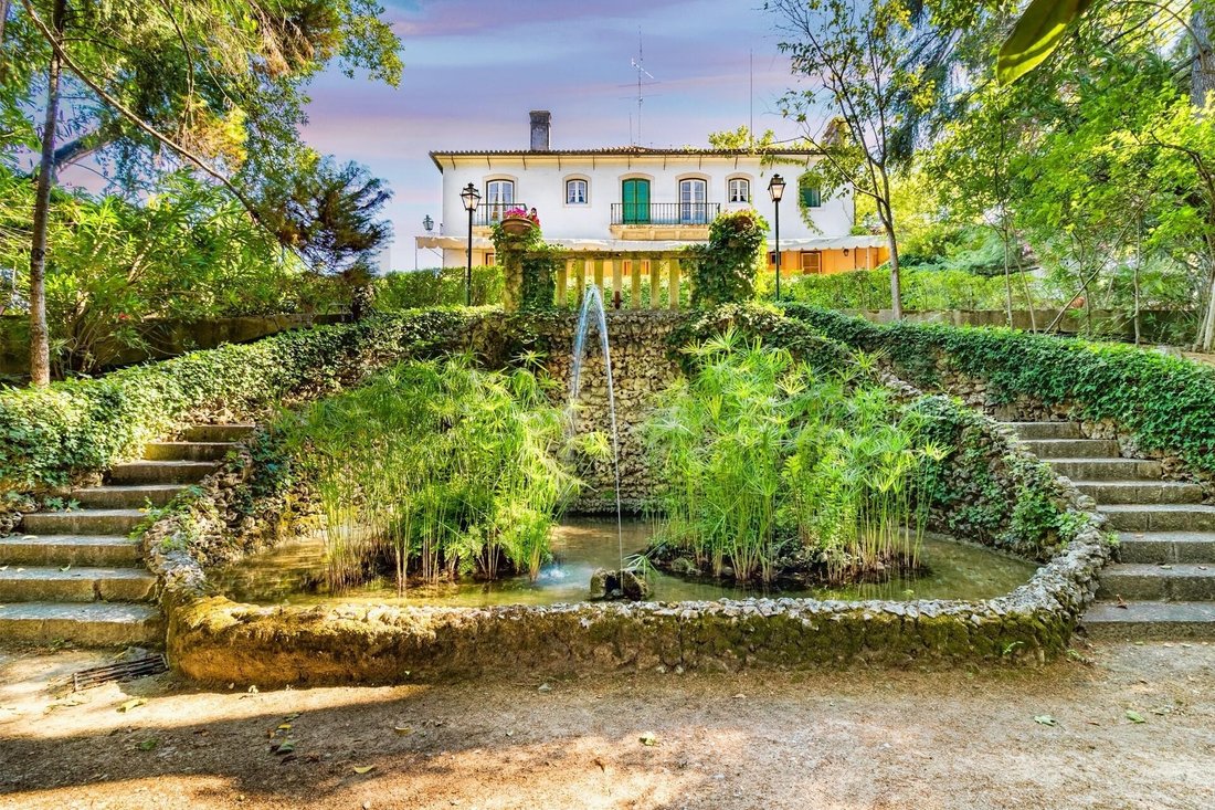 Azienda agricola a Sao Pedro, Lapas e Ribeira Branca, Distretto di Santarém, Portogallo 2 - 19107955
