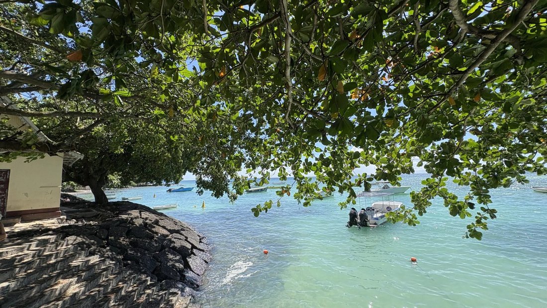 Haus in Trou aux Biches, Pamplemousses, Mauritius 1 - 19107076