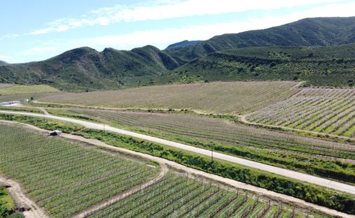Azienda agricola a Montagu, Provincia del Capo Occidentale, Sudafrica 1