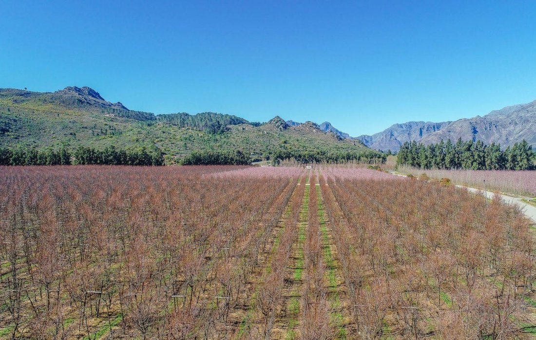 Franschhoek, Western Cape, South Africa 3 - 19109558