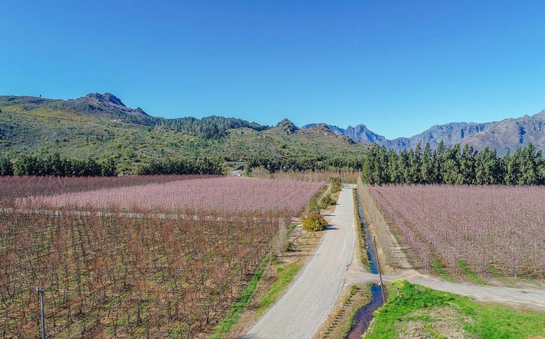 Franschhoek, Western Cape, South Africa 5 - 19109558