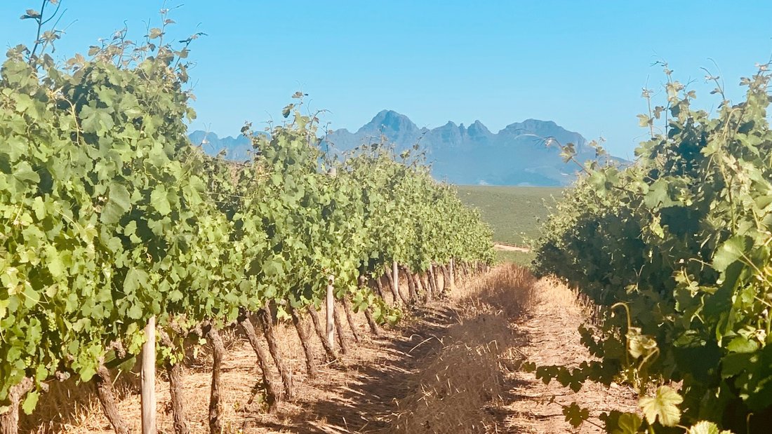 Corps de ferme à Municipalité locale de Stellenbosch, Cap occidental, Afrique du Sud 3 - 19109560